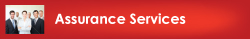 Assurance Services