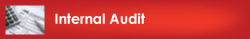 Internal Audit